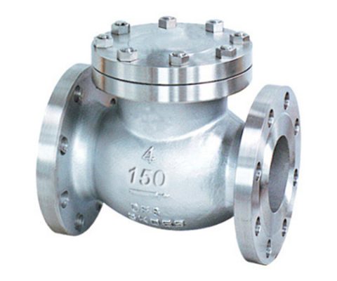Flange swing check valve